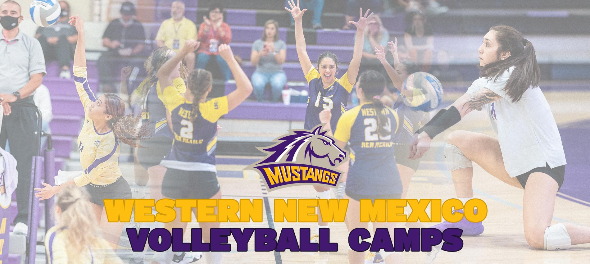 Western New Mexico Volleyball Camps